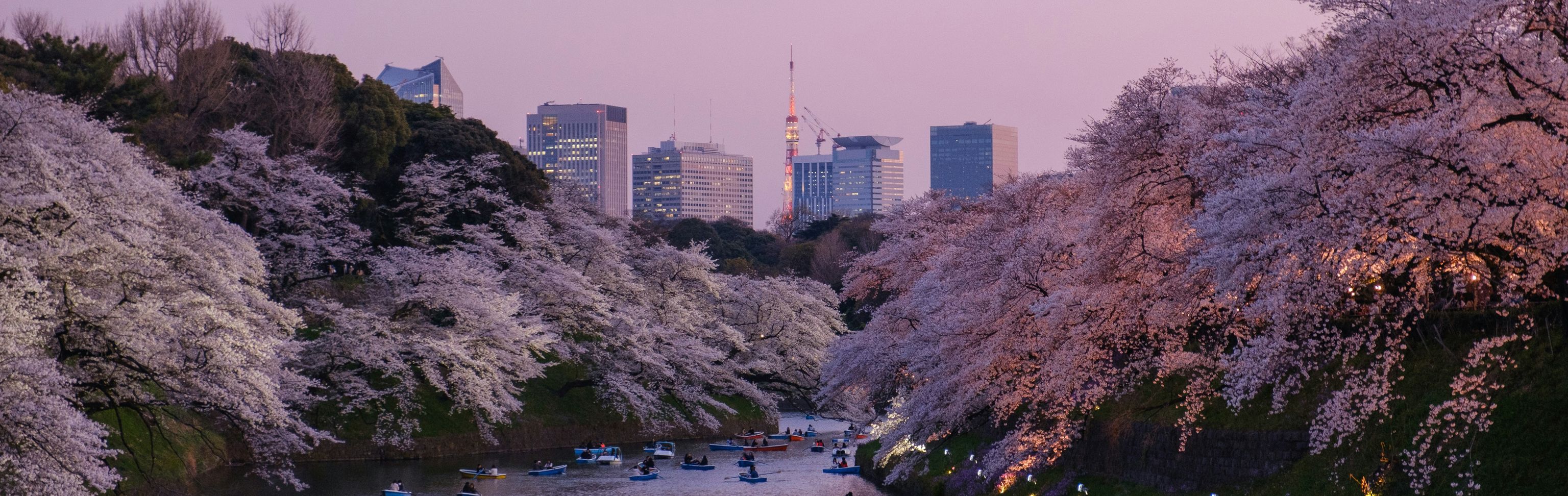 Key visual of Japan